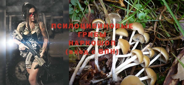 прущий лед Ладушкин